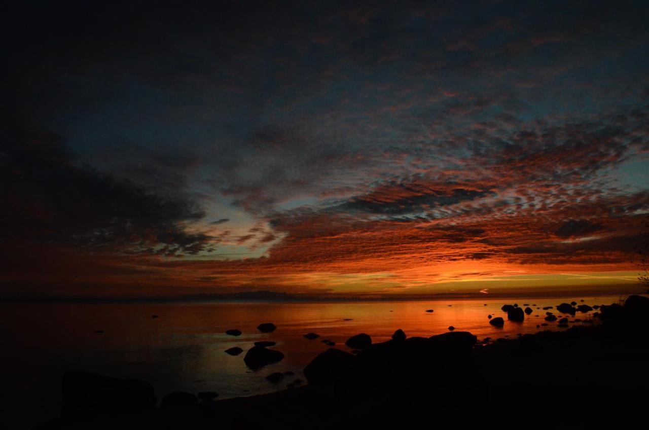 Pilava Otel Roja Dış mekan fotoğraf